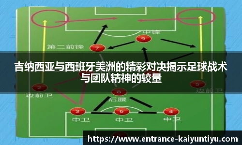 开云体育官网